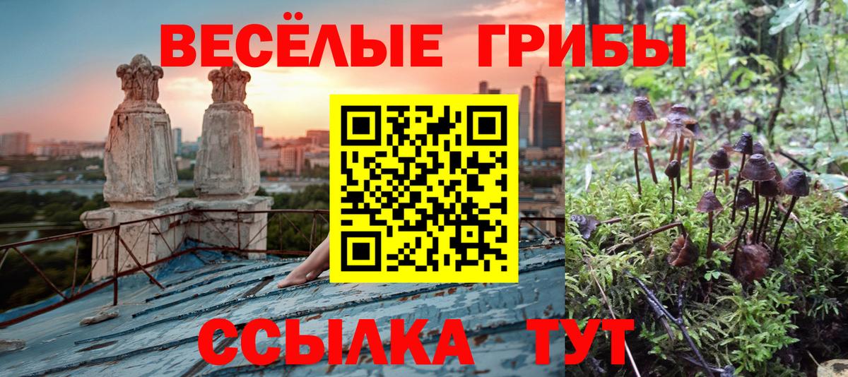 ЭКСТАЗИ  Кокаин  АМФЕТАМИН   Где купить наркотики?  Советск  Гашиш  Канабис  Вход с VPN  Кокаин  Меф МЯУ МЯУ кристаллы  Гашиш 