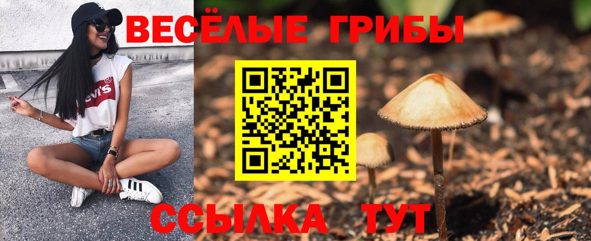 Галлюциногенные грибы мицелий  Вход с VPN  Советск 