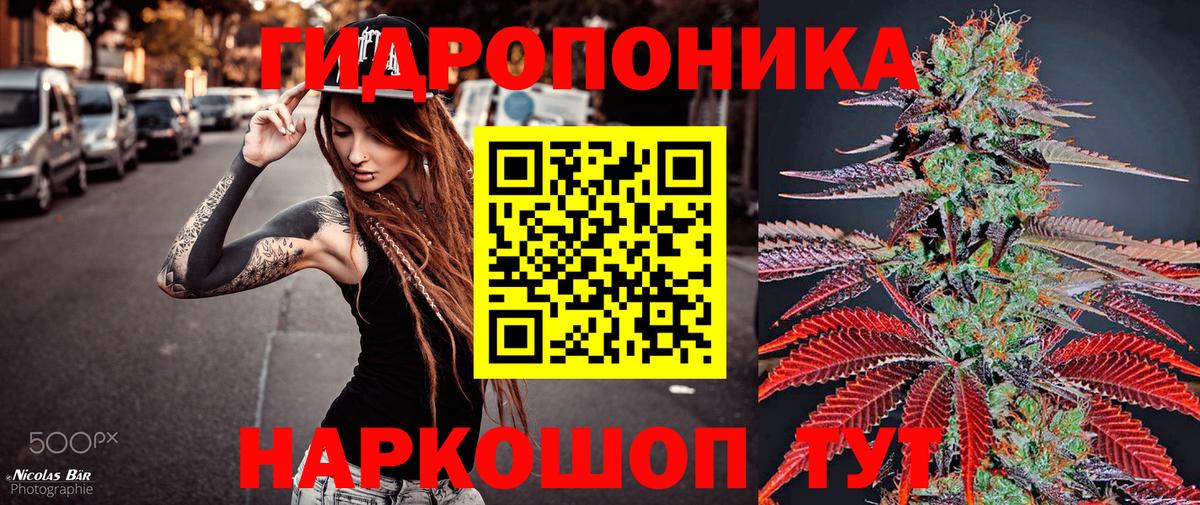Канабис гибрид Советск